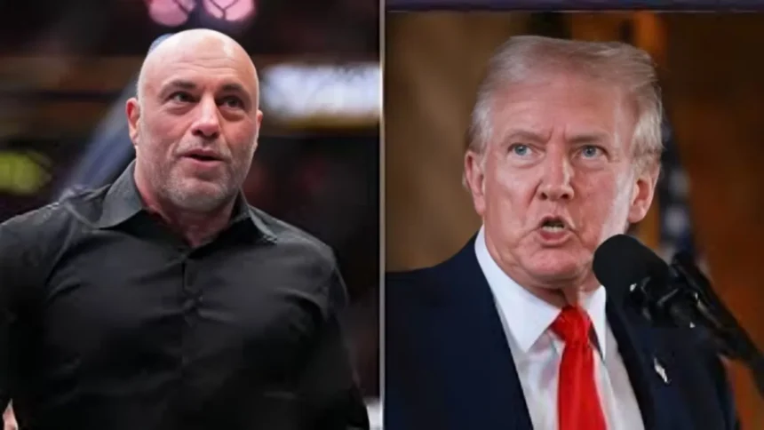 Joe Rogan and Donald Trump