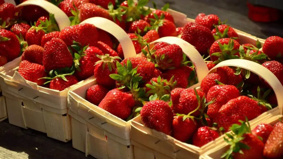 Strawberries: The Sweet and Nutritious Berry